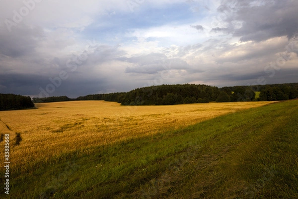 Obraz cloudy weather  