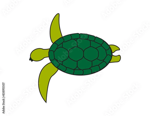 Obraz turtle illustration