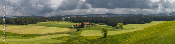 Obraz Schwarzwald Panorama