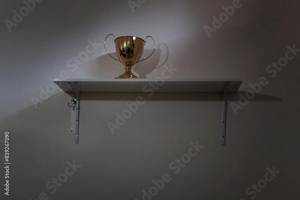 Fototapeta gold trophy cup on the shelf in shadow with copy space