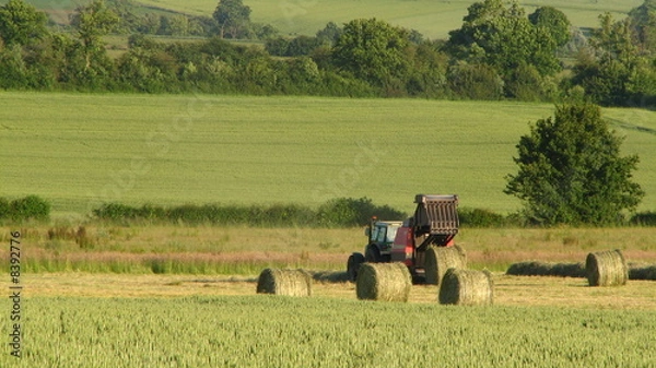 Obraz Mise en balle du foin