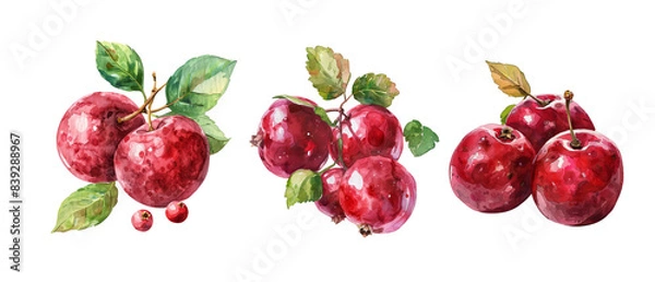 Fototapeta Three red apples with green leaves