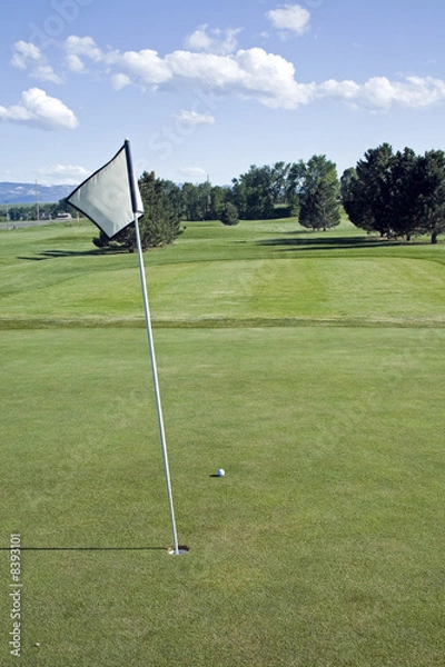 Fototapeta On The Green