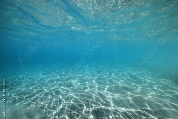 Fototapeta underwater photo blue background panorama ocean surface and bottom of the sea