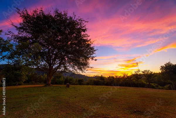 Fototapeta The tree on grass hill field beside is empty bench with beautiful sky during sunset or sunrise, landscape view.
