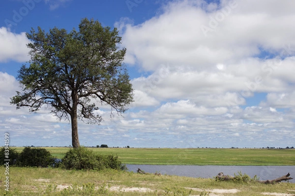 Obraz Botswana Landscape