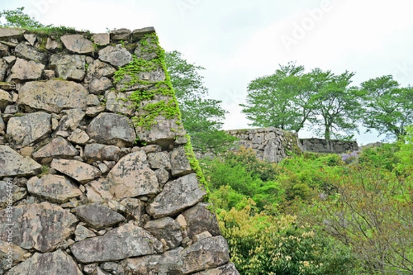 Fototapeta 竹田城の石垣　兵庫県朝来市
