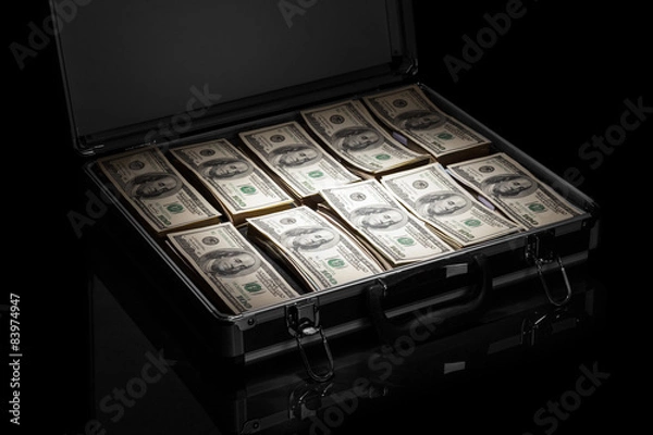 Obraz Silver case with money