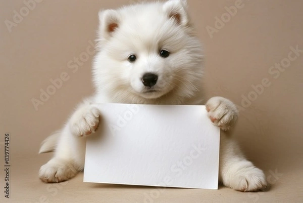 Fototapeta A cute and fluffy white dog, possibly a Samoyed or a Spitz, stands against a warm beige background while holding a blank, crumpled piece of paper in its paws. 