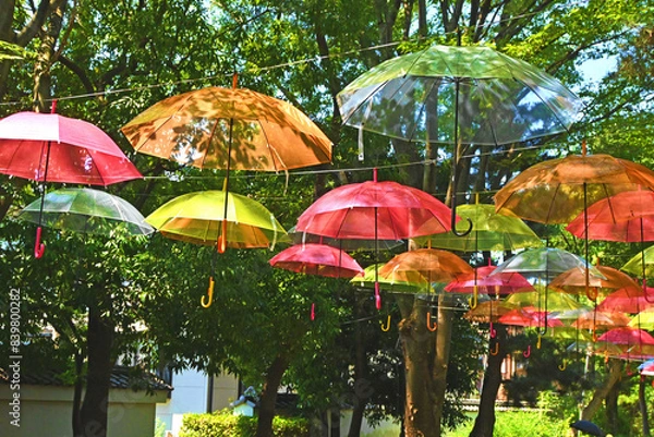 Fototapeta 忍城のアンブレラスカイ