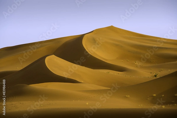 Fototapeta Sunset over the dunes