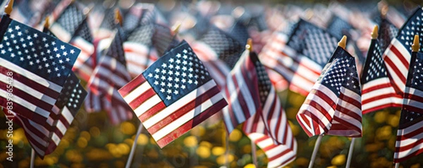 Obraz american flag in the wind