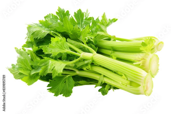 Fototapeta Fresh Green Celery Stalks with Leaves Isometric on white background