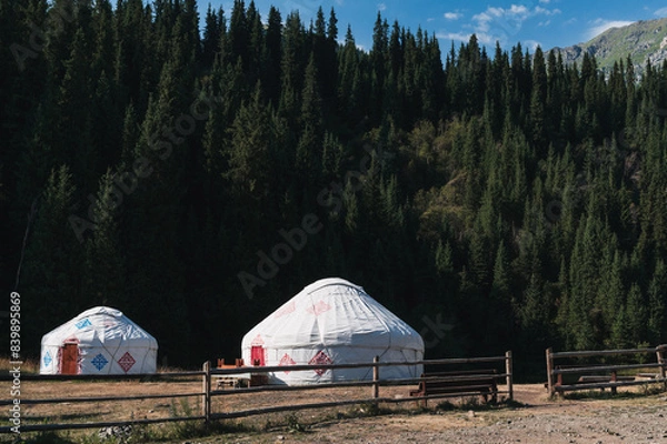 Fototapeta traditional Asian nomadic white yurts near the forest in summer in the steppes of Kazakhstan