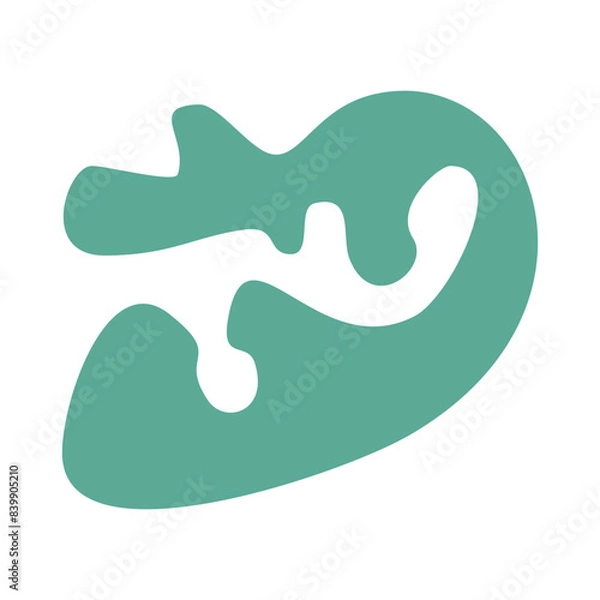 Obraz Organic Abstract Shape