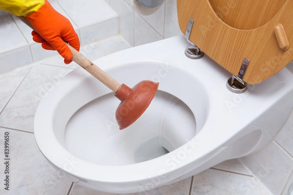 Obraz cleaning - WC reinigen, putzen, Pümpel