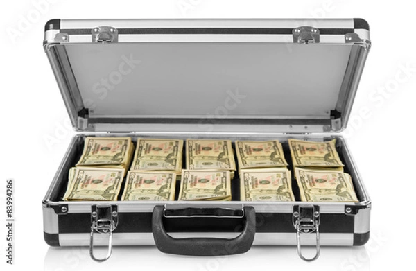 Obraz Silver case with money