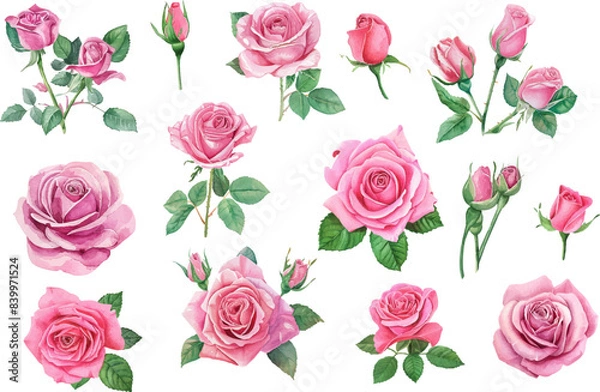 Obraz pink roses