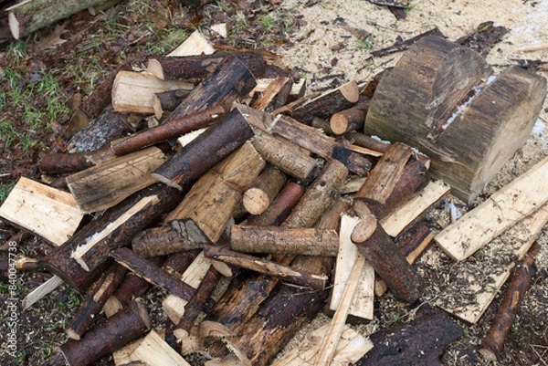 Fototapeta Lumberjack chopped the tree trunks.