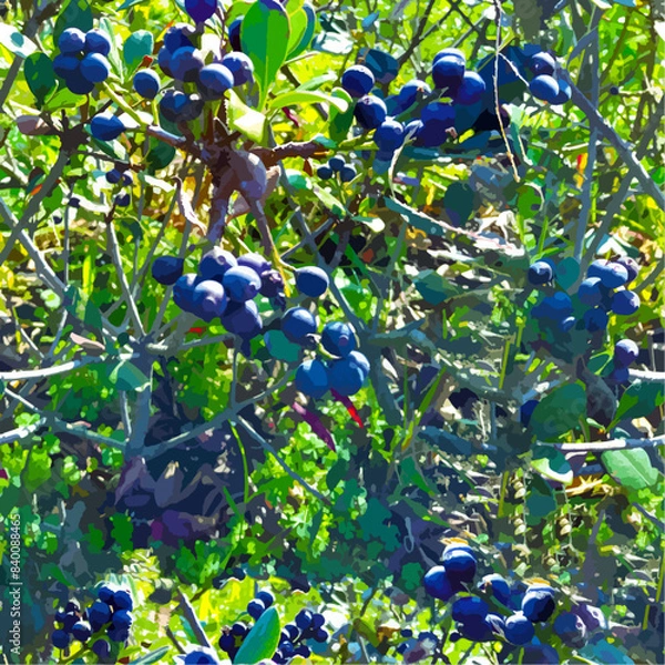 Obraz たわわに実った紫の果実のベクターイラスト、シームレス