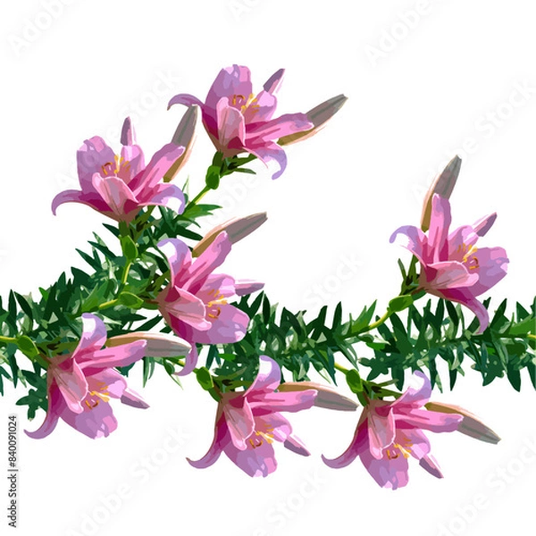 Obraz ピンク色のユリの花のイラストのシームレスパターン、ベクターイラスト