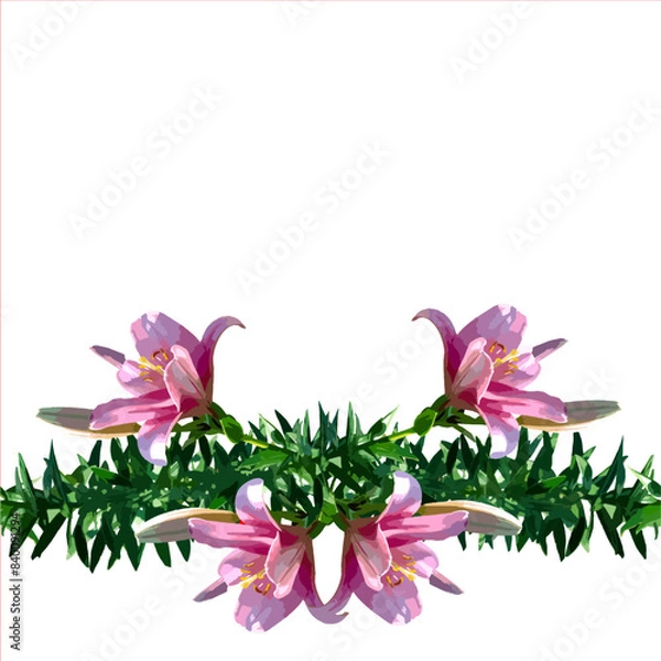Obraz 百合の花を白バックに並べた白背景のバナー素材、シームレス