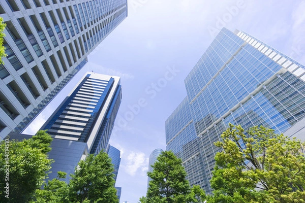 Fototapeta 品川　高層ビル群と新緑