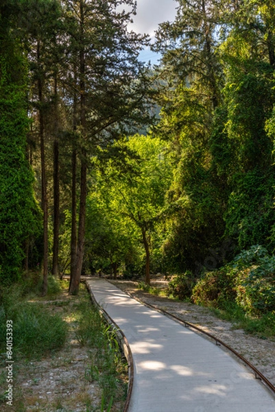 Fototapeta Trails at Nahal Hashofet at Ramat Menashe Forest part of the Carmel mountain range in Israel
