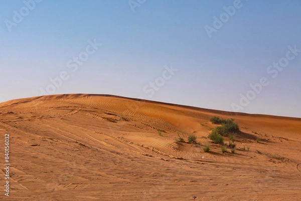Fototapeta The Desert in Ras al Khaimah, United Arab Emirates