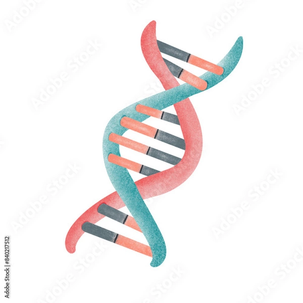 Fototapeta DNA