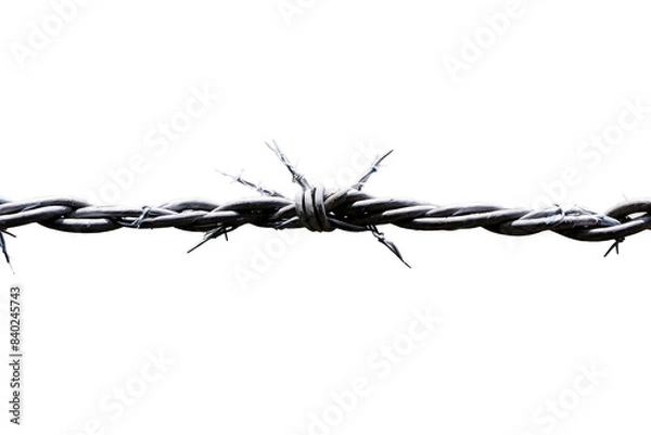 Fototapeta A horizontal strand of barbed wire showing sharp barbs, with a dark and moody atmosphere isolated on black