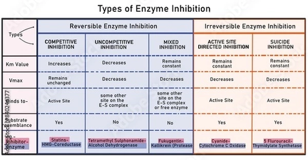 Fototapeta Types of enzyme inhibition