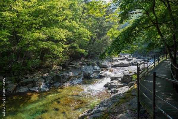 Obraz 지리산 계곡