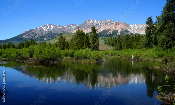 Obraz duża rzeka drewna