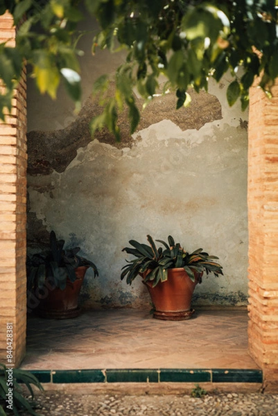 Obraz wall with window and plants