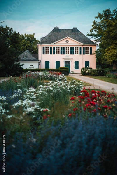 Obraz house in the park