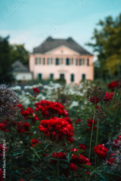 Obraz house in the city
