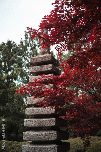 Obraz japanese pagoda in autumn