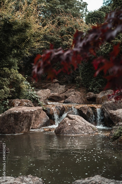 Obraz river in the park