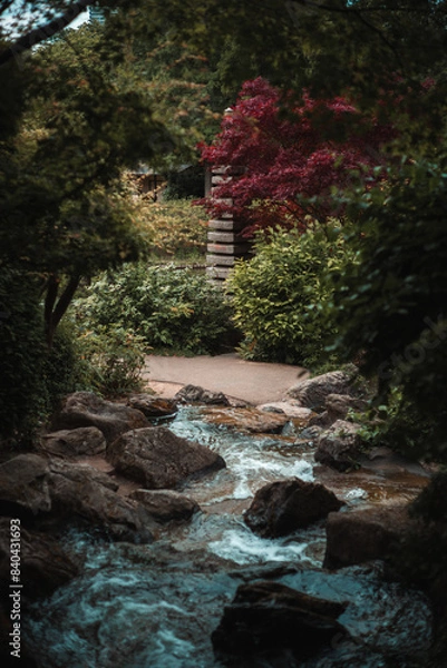 Obraz waterfall in the woods
