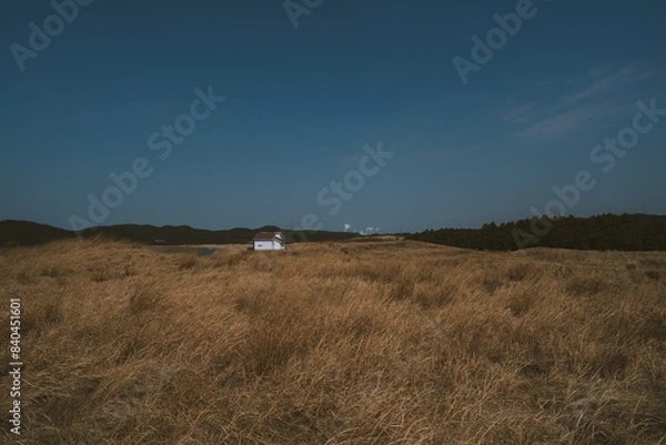 Fototapeta 풍경