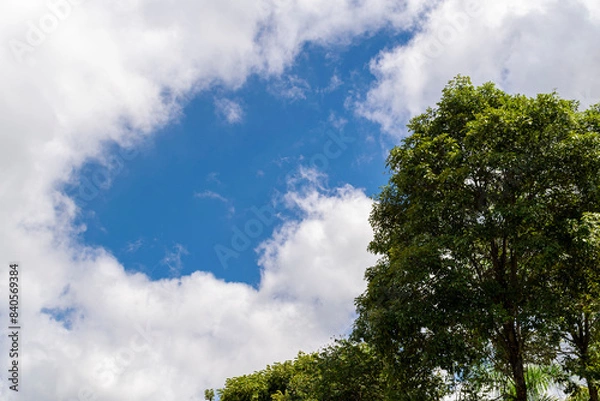 Fototapeta Tropical rural panorama. Trees. Blue sky with clouds. Space for advertising. Horizontal.