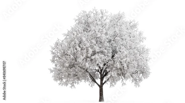 Obraz A tree covered in snow on a white background
