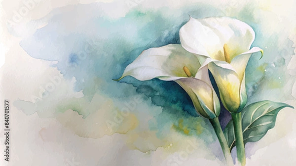 Obraz Minimalist watercolor background of calla lilies