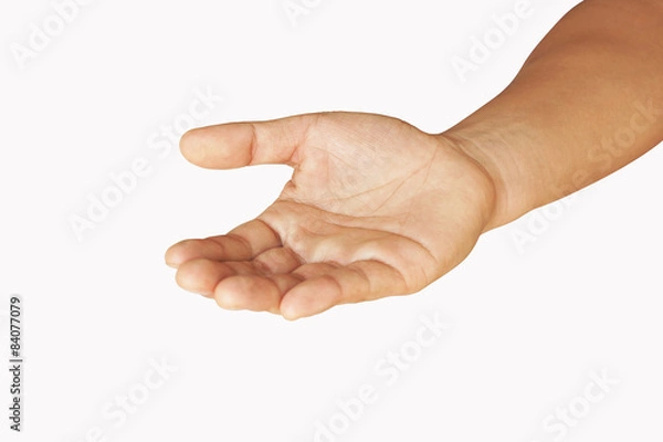 Fototapeta człowiek puste ręce na białym tle, dłonie na białym tle