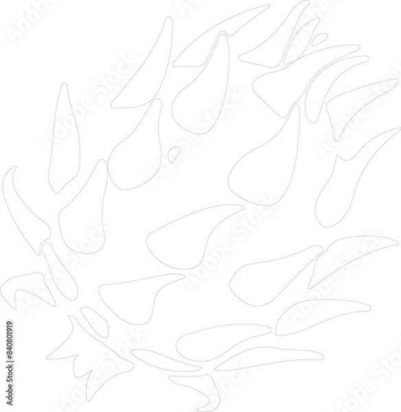 Obraz dragon fruit outline