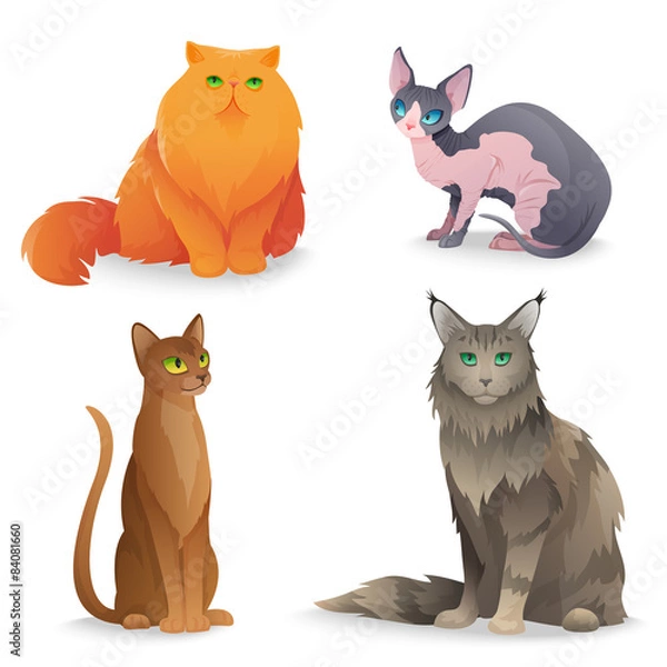 Obraz Cat Breeds set