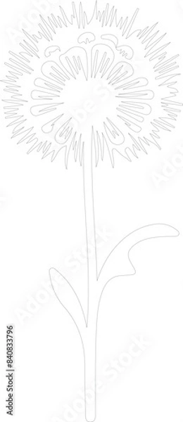 Obraz bachelor button outline