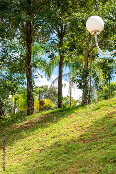Fototapeta Tropical rural landscape. Garden. Trees. Palm trees. Blue sky with clouds. Space for advertising. Vertical.
