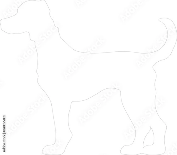 Obraz Bedlington Terrier outline